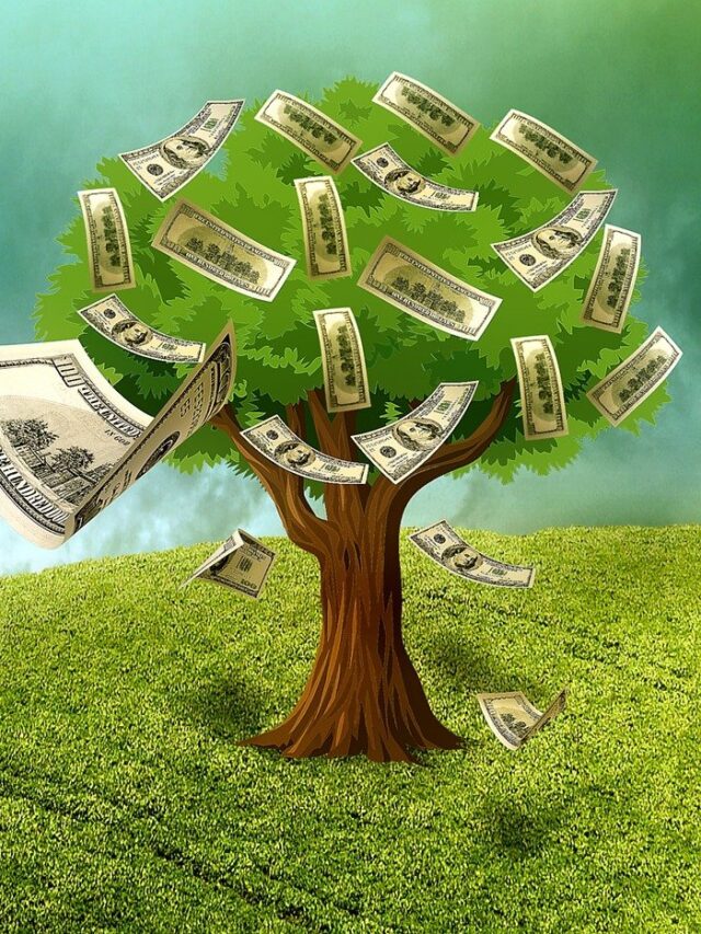 cropped-money-on-tree.jpg